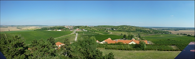 Rozhledna Dalibor - panorama