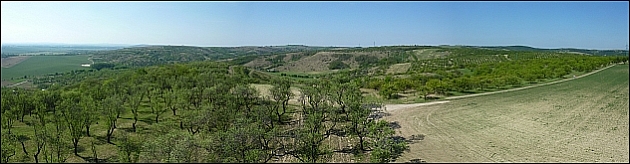 Rozhledna v mandloňovém sadu - panorama